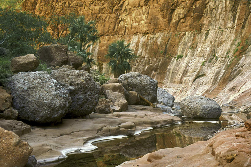 无人,横图,室外,白天,正面,旅游,度假,河流,石头,美景,水,峡谷,植物,墨西哥,石子,河水,景观,水流,山谷,娱乐,树,树木,绿色,小溪,自然,溪水,享受,休闲,景色,放松,生长,成长,北美,北美洲,岩层,自然风光,美洲,北亚美利加洲,亚美利加洲,墨西哥合众国,仙人掌王国,北下加利福尼亚,北下加利福尼亚州,下加利福尼亚州,石块,岩石,彩图