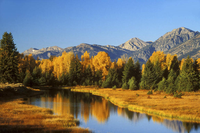 无人,公园,横图,室外,白天,正面,旅游,度假,河流,石头,美景,森林,山,山脉,树林,水,植物,美国,阴影,枯萎,光线,石子,影子,河水,景观,山顶,山峰,水流,枯草,山峦,娱乐,草,树,树木,黄色,蓝色,绿色,倒影,蓝天,天空,阳光,自然,群山,天,享受,休闲,景色,放松,生长,晴朗,成长,倒映,北美,北美洲,国家公园,自然风光,美洲,怀俄明州,怀俄明,沉积岩,万里无云,蛇河,大提顿国家公园,北亚美利加洲,亚美利加洲,平等之州,大蒂顿国家公园,大堤顿国家公园,大提顿公园,颠峰,极峰,反照,水成岩,石块,岩石,晴空,晴空万里,彩图