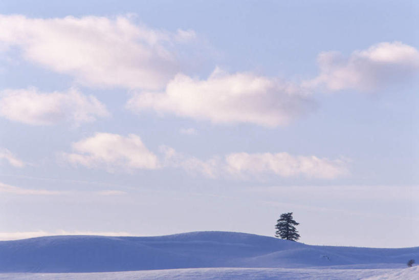 无人,横图,室外,白天,正面,旅游,度假,美景,雪,植物,大雪,美国,积雪,景观,雪景,云,云朵,冬季,冬天,云彩,娱乐,树,树木,蓝色,绿色,白云,蓝天,天空,自然,天,享受,休闲,景色,放松,寒冷,生长,晴朗,成长,北美,北美洲,自然风光,美洲,爱达荷州,北亚美利加洲,亚美利加洲,严寒,爱达荷,爱达华州,宝石之州,宝石州,晴空,彩图