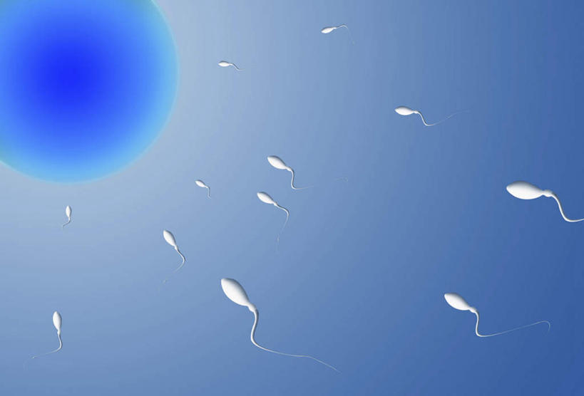 无人,横图,插画,室内,白天,正面,数码,科技,阴影,透明,网络,圆形,圆圈,高光,几何,计算机图形,合成,图画,画,蓝色,白色,精子,电脑合成图,数码合成图,合成图,漫画,写实,具体,具象,理智,沉静,生殖细胞,冷色,高深,冷淡,单倍体生殖细胞,雄配子,雄性生殖细胞,雄性细胞,彩图