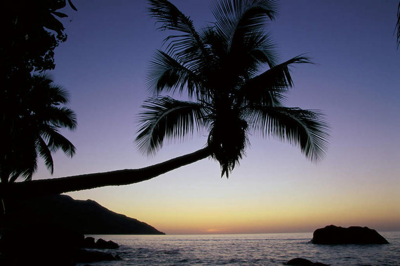 无人,横图,室外,白天,正面,旅游,度假,海浪,海洋,石头,美景,日落,沙滩,植物,棕榈树,叶子,非洲,塞舌尔,沙子,石子,海岸,景观,浪花,晚霞,霞光,落日,绿叶,沙地,背光,娱乐,树,树木,蓝色,绿色,蓝天,天空,自然,海水,黄昏,天,享受,休闲,嫩叶,景色,彩霞,放松,生长,晴朗,成长,自然风光,逆光,海景,棕榈叶,塞舌尔共和国,万里无云,阿非利加洲,东非,夕照,普拉斯林岛,叶,叶片,大海,风浪,海,海水的波动,海滩,近岸浪,石块,岩石,涌浪,晴空,晴空万里,夕阳,彩图,斜阳