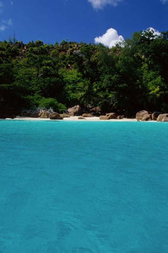 无人,竖图,室外,白天,正面,旅游,度假,海浪,海洋,石头,美景,树林,植物,非洲,塞舌尔,阴影,光线,石子,影子,景观,浪花,云,云朵,云彩,娱乐,树,树木,蓝色,绿色,白云,蓝天,天空,阳光,自然,海水,天,享受,休闲,景色,放松,生长,晴朗,成长,自然风光,海景,塞舌尔共和国,阿非利加洲,东非,普拉斯林岛,大海,风浪,海,海水的波动,近岸浪,石块,岩石,涌浪,晴空,彩图