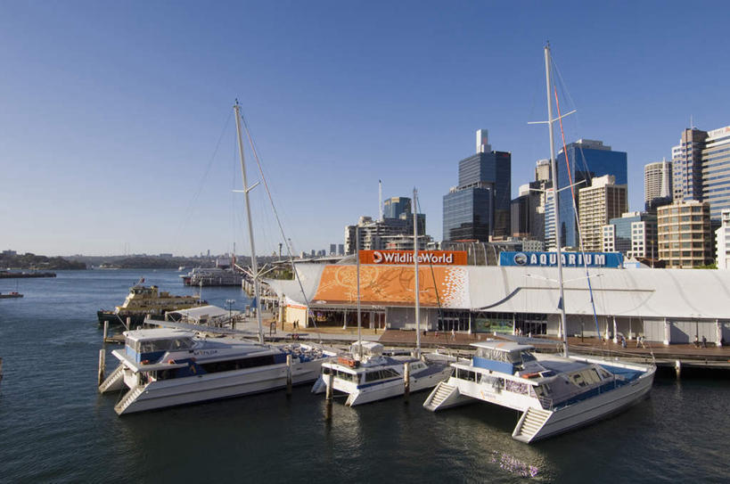 帆船,无人,高楼大厦,码头,横图,室外,白天,正面,度假,海浪,海洋,美景,城市风光,标志建筑,城市,大厦,地标,港口,建筑,摩天大楼,船,澳大利亚,阴影,光线,影子,景观,浪花,建筑群,娱乐,建设,蓝色,蓝天,天空,阳光,海水,交通工具,天,享受,休闲,景色,放松,晴朗,载具,大洋洲,悉尼,澳洲,海景,万里无云,南方大陆,首府,澳大利亚联邦,新州,新南威尔士,新南威尔士州,达令港,情人港,大海,风浪,海,海水的波动,近岸浪,涌浪,晴空,晴空万里,彩图,摆渡口,埠头,大楼,渡口,渡头,港湾,高层建筑,高楼,海港,货运码头,口岸,摩天楼,商港