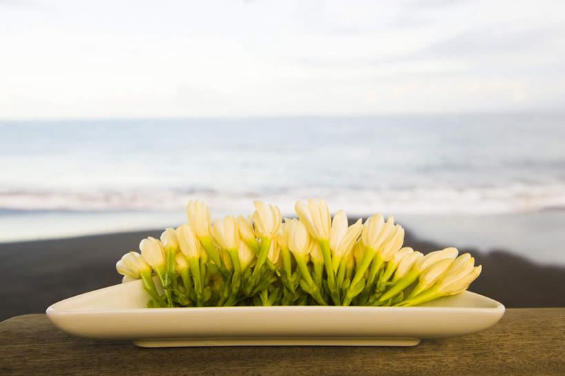 无人,横图,室外,白天,正面,按摩,美容,旅游,度假,海浪,海洋,美景,沙滩,植物,护肤,朦胧,模糊,盛开,沙子,海岸,景观,浪花,水平线,云,云朵,辽阔,草药,药草,海平线,沙地,花蕾,云彩,娱乐,中药,花,花瓣,花朵,鲜花,黄色,白云,自然,海水,花苞,花蕊,保养,享受,休闲,广阔,景色,放松,SPA水疗,保健,温泉浴场,一望无际,自然风光,大洋洲,药材,中草药,海景,养颜,中药材,本草,塔希提岛,法属波利尼西亚,社会群岛,首府,大溪地,法属玻利尼西亚,塔西提岛,无边无际,一马平川,帕皮提,大海,风浪,海,海水的波动,海滩,近岸浪,涌浪,矿泉疗养地,彩图,水疗,水天相接,水天一线