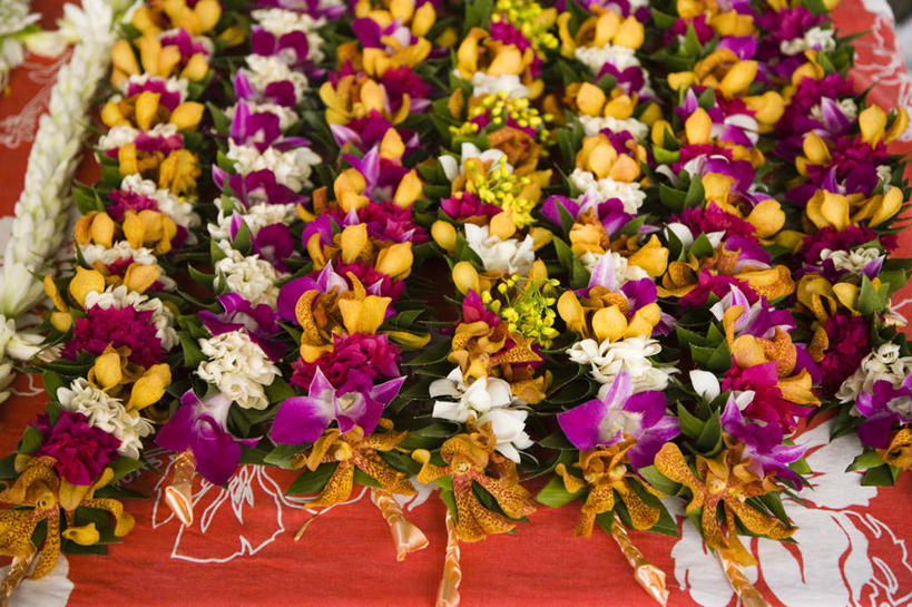 无人,商店,横图,俯视,室内,特写,白天,购物,消费,一排,许多,整齐,装饰,盛开,花环,很多,花蕾,商铺,花,花瓣,花朵,鲜花,排列,花苞,花蕊,金融,华丽,修饰,点缀,队列,大洋洲,选购,贸易,塔希提岛,法属波利尼西亚,社会群岛,大溪地,衬托,美观,雅致,雅观,血拼,法属玻利尼西亚,市肆,商号,塔西提岛,彩图,高角度拍摄,店铺