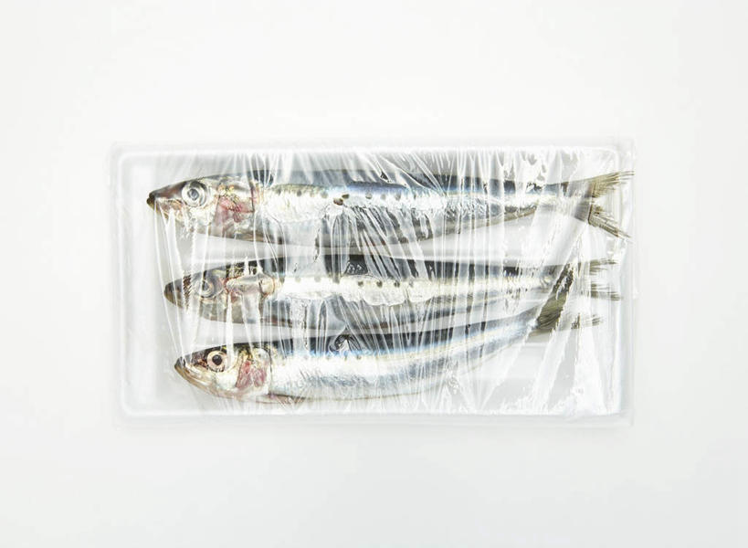 海鲜,无人,横图,俯视,室内,特写,白天,白色背景,桌面,桌子,一排,阴影,整齐,反射,木制,鱼,包装,影子,塑料,水产,鱼类,海洋生物,盒子,排列,一个,木制品,容器,塑料制品,摄影,影棚,三条,沙丁鱼,单个,储藏,鲱鱼,包装材料,保鲜膜,储存,队列,水生动物,海产品,水生物,海底动物,沙甸鱼,沙鲻,沙脑鰛,大肚鰛,真鰛,萨丁鱼,鳁,鲱科,彩图,高角度拍摄,全身,影棚拍摄,拍摄,贮存