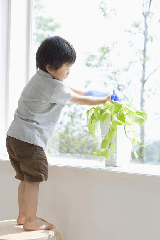 东方人,儿童,一个人,站,竖图,室内,白天,侧面,纯洁,水,植物,窗户,椅子,亚洲,仅一个男性,仅一个人,握,飞溅,服装,朦胧,模糊,溅,壶,盆栽,液体,木椅,墙,水滴,盆景,拿,洒水壶,拿着,注视,休闲装,黄种人,光脚,玻璃窗,墙壁,墙面,水壶,水珠,小孩,衣服,绿色,白色,自然,观察,看,站着,仅一个小孩,休闲,赤脚,休闲服,可爱,童年,童趣,握着,服饰,生长,成长,观看,察看,关注,喷洒,童真,烂漫,无邪,浇水壶,天真,男孩,男人,男性,亚洲人,孩子,站立,彩图,全身,男生
