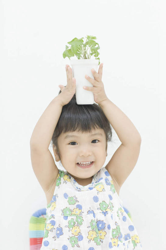 东方人,儿童,一个人,站,举,笑,微笑,露齿笑,竖图,室内,白天,正面,纯洁,植物,厨房,桌面,桌子,餐具,亚洲,仅一个女性,仅一个人,服装,木制,碟子,盘,盆栽,墙,盆景,注视,休闲装,黄种人,墙壁,墙面,小孩,衣服,绿色,白色,自然,盘子,木制品,碟,观察,看,托,站着,仅一个小孩,休闲,休闲服,可爱,童年,童趣,服饰,生长,成长,观看,察看,关注,童真,烂漫,无邪,天真,女孩,女人,女性,亚洲人,孩子,举起,举手,举着,向上举,向上伸,向上托,站立,半身,彩图,灶间,女生