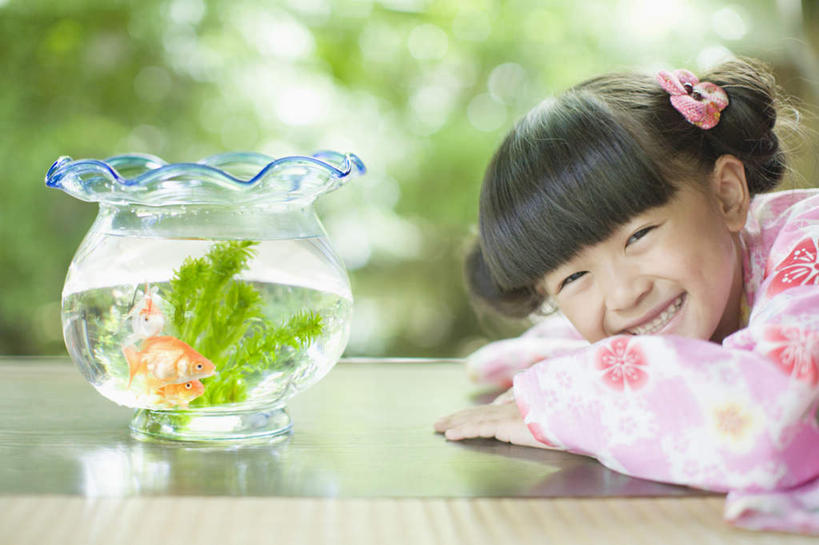 东方人,儿童,一个人,坐,笑,微笑,露齿笑,横图,室内,白天,侧面,民族服装,纯洁,树林,植物,地板,玻璃,亚洲,仅一个女性,仅一个人,和服,朦胧,模糊,装饰,金鱼,鱼,头饰,鱼缸,地面,扭头,注视,黄种人,鱼类,木地板,玻璃制品,树,树木,小孩,绿色,自然,发饰,饰品,观察,看,趴着,转头,仅一个小孩,可爱,童年,童趣,服饰,生长,成长,观看,华丽,修饰,点缀,察看,关注,头绳,童真,烂漫,无邪,配饰,吴服,唐草,唐花,唐锦,衬托,美观,雅致,雅观,观赏鱼,金鲫鱼,天真,女孩,女人,女性,亚洲人,孩子,趴,坐着,半身,彩图,传统服装,民俗服,浴衣,发绳,女生