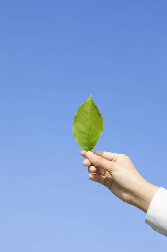 东方人,手,一个人,竖图,室外,特写,白天,仰视,叶子,亚洲,仅一个年轻女性,仅一个女性,仅一个人,握,阴影,服装,光线,影子,绿叶,拿,拿着,休闲装,黄种人,衣服,蓝色,蓝天,天空,阳光,天,休闲,手部,休闲服,嫩叶,握着,服饰,晴朗,单手,万里无云,年轻女性,女人,女性,亚洲人,叶,叶片,晴空,晴空万里,半身,彩图,低角度拍摄