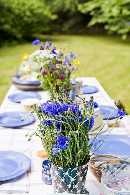 无人,竖图,俯视,室外,白天,草地,草坪,美景,树林,植物,餐桌,桌子,餐具,一排,许多,整齐,装饰,盛开,碟子,盘,勺子,景观,花蕾,草,花,花瓣,花朵,鲜花,树,树木,排列,绿色,自然,盘子,调羹,碟,汤匙,碗,花苞,花蕊,景色,生长,成长,餐台,华丽,修饰,点缀,保鲜膜,队列,自然风光,衬托,美观,雅致,雅观,彩图,高角度拍摄