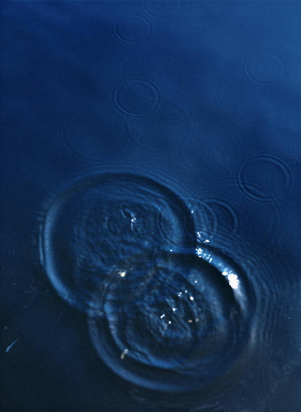 无人,竖图,俯视,室外,特写,白天,河流,美景,水,阴影,波纹,光线,影子,河水,景观,水流,涟漪,水纹,小溪,阳光,自然,波浪,溪水,景色,自然风光,水晕,彩图,高角度拍摄