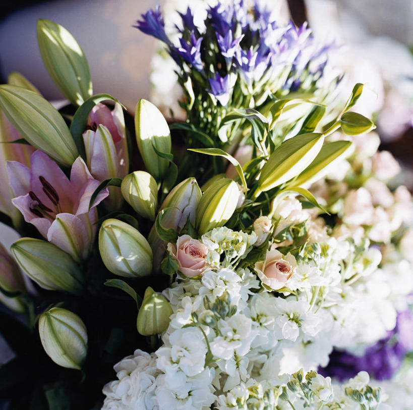 无人,横图,俯视,室内,特写,白天,百合花,睡莲,许多,阴影,朦胧,模糊,盛开,反射,影子,花蕾,花,花瓣,花朵,鲜花,花苞,花蕊,纯真,妖艳,强瞿,水芹花,抒情,洁净,百合蒜,倒仙,番韭,山丹,水洋花,小莲花,子午莲,彩图,高角度拍摄