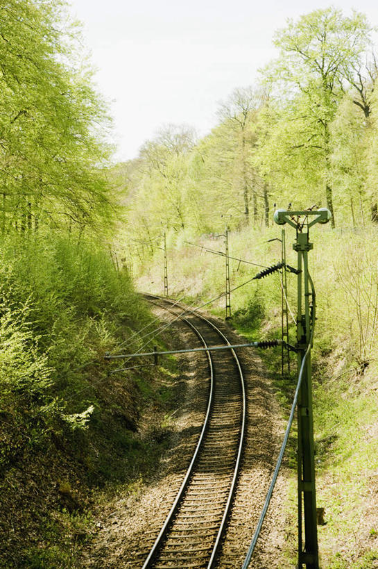 无人,竖图,室外,白天,正面,旅游,度假,美景,植物,瑞典,欧洲,阴影,光线,影子,景观,轨道,铁轨,娱乐,树,树木,绿色,阳光,自然,享受,休闲,景色,放松,生长,成长,斯堪的纳维亚,自然风光,北欧,斯堪的纳维亚半岛,瑞典王国,斯科讷省,彩图