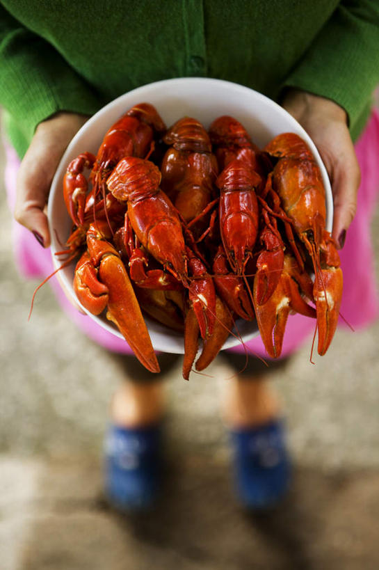 西方人,一个人,站,捧,竖图,俯视,室外,特写,白天,欧洲,欧洲人,仅一个年轻女性,仅一个女性,仅一个人,许多,服装,朦胧,模糊,碟子,盘,陶瓷,陶瓷制品,休闲装,一个,衣服,红色,绿色,白色,盘子,碟,站着,休闲,休闲服,服饰,单个,小龙虾,淡水小龙虾,红螯虾,克氏原螯虾,剌蛄,年轻女性,女人,女性,白种人,端,端着,捧着,手捧,站立,半身,彩图,高角度拍摄