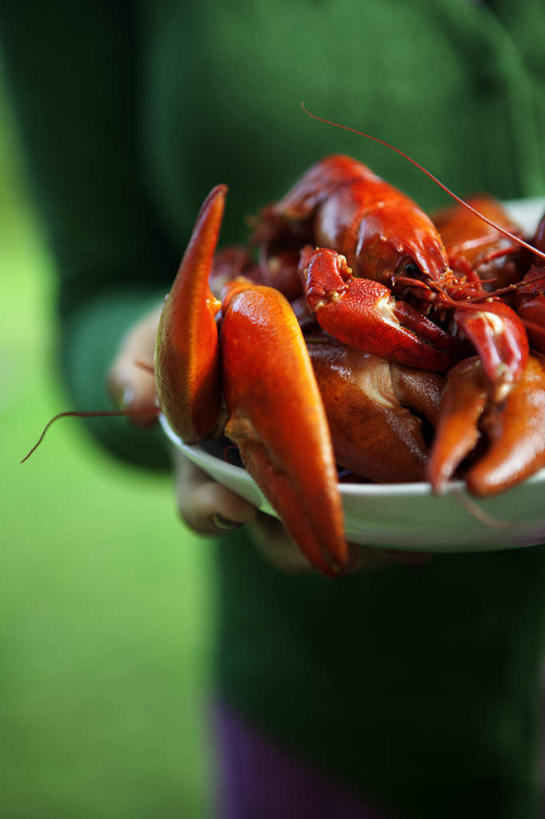 西方人,一个人,站,捧,竖图,俯视,室外,特写,白天,欧洲,欧洲人,仅一个年轻女性,仅一个女性,仅一个人,许多,服装,朦胧,模糊,碟子,盘,陶瓷,陶瓷制品,休闲装,一个,衣服,红色,绿色,白色,盘子,碟,站着,休闲,休闲服,服饰,单个,小龙虾,淡水小龙虾,红螯虾,克氏原螯虾,剌蛄,年轻女性,女人,女性,白种人,端,端着,捧着,手捧,站立,半身,彩图,高角度拍摄