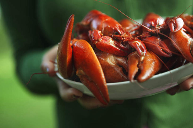 西方人,一个人,站,捧,横图,室外,特写,白天,正面,欧洲,欧洲人,仅一个年轻女性,仅一个女性,仅一个人,许多,服装,朦胧,模糊,碟子,盘,陶瓷,陶瓷制品,休闲装,一个,衣服,红色,绿色,白色,盘子,碟,站着,休闲,休闲服,服饰,单个,小龙虾,淡水小龙虾,红螯虾,克氏原螯虾,剌蛄,年轻女性,女人,女性,白种人,端,端着,捧着,手捧,站立,半身,彩图