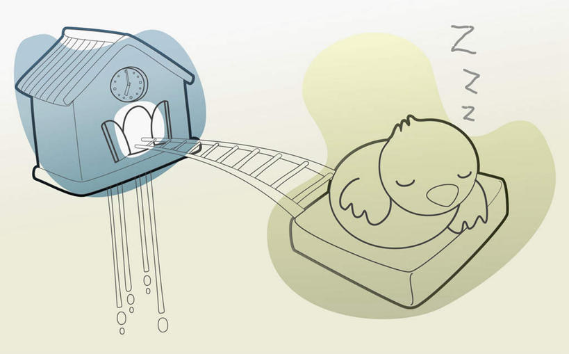 无人,睡,横图,插画,室内,特写,白天,正面,数码,科技,鸟,静物,阴影,时间,网络,英文,鸟类,标志,时钟,文字,字符,字母,高光,几何,计算机图形,合成,计时,图画,标识,画,一个,一只,钟表,表,单个,英文字母,电脑合成图,数码合成图,合成图,漫画,写实,具体,具象,布谷鸟钟,咕咕钟,钟,困,困觉,寝息,睡觉,彩图,全身