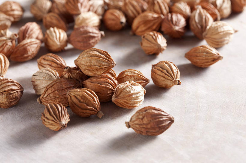 无人,横图,静物,中国,亚洲,许多,准备,堆叠,丰富,材料,瓷器,调料,香料,食品,草药,药草,调味品,很多,饮食,摄影,中医,东亚,彩图,影棚拍摄,砂仁,成分