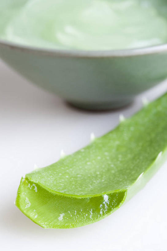 无人,竖图,特写,按摩,化妆,美容,芦荟,静物,北京,中国,亚洲,护肤,准备,材料,瓷器,润肤露,自然,保养,享受,休闲,健康,面膜,放松,SPA水疗,保健,温泉浴场,摄影,有机食品,部分,简单,化妆用品,草本,清新,华贵,东亚,纯净,养颜,替代疗法,美化,芦荟汁,矿泉疗养地,彩图,影棚拍摄,水疗,SPA美容,成分