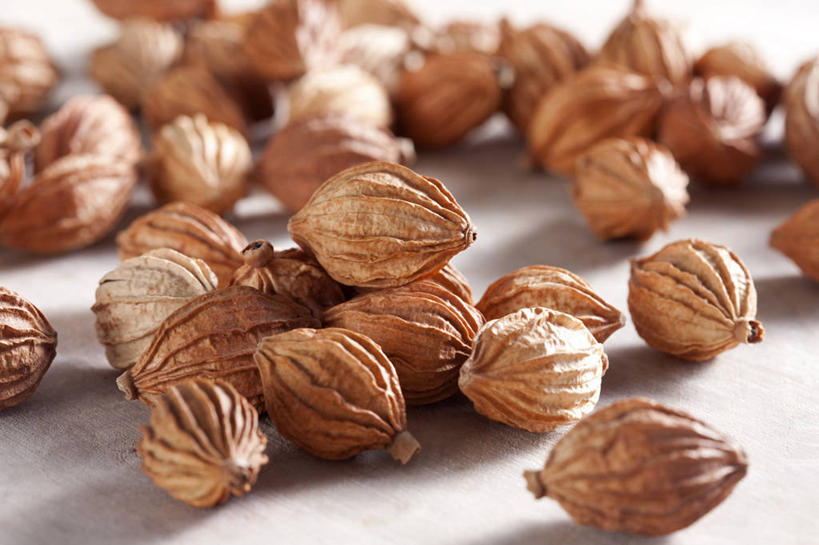 无人,横图,静物,中国,亚洲,许多,准备,堆叠,丰富,材料,瓷器,调料,香料,食品,草药,药草,调味品,很多,饮食,摄影,中医,东亚,彩图,影棚拍摄,砂仁,成分