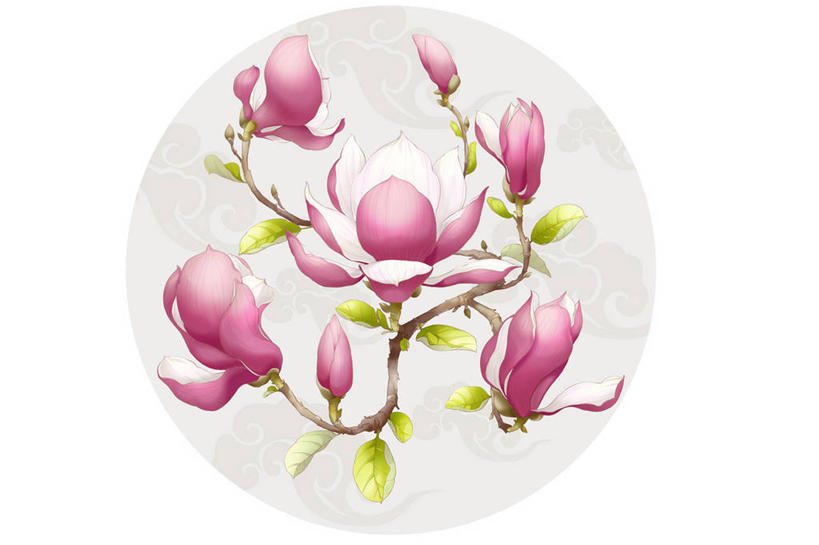 无人,横图,彩色,插画,留白,白色背景,幸福,运气,数码,科技,玉兰花,阴影,装饰,网络,圆形,符号,高光,几何,计算机图形,祝福,合成,图画,传统,画,祥云,花,花朵,紫色,花束,春天,美女,财富,摄影,影棚,五颜六色,色彩斑斓,电脑合成图,数码合成图,珍贵,优美,合成图,中国文化,摄影棚,五彩缤纷,工笔画,古典风格,漫画,辛夷,写实,具体,具象,五彩斑斓,木兰花,五光十色,玉兰,应春花,木兰,白玉兰,玉树,彩图,影棚拍摄,欢乐,拍摄,望春,传统文化,玉堂春