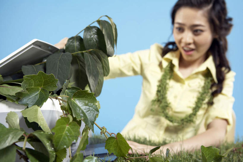 一个人,秘书,坐,横图,正面,仰视,笔记本电脑,技术,椅子,北京,中国,小贩,开,服装,花环,联系,草,衣服,蓝色,自然,看,凝视,摄影,服饰,环境,衣着,穿着,创新,衣饰,迷惑,年轻女性,中国人,年轻人,触摸,半身,彩图,低角度拍摄,欢乐,办公室职员,好奇心