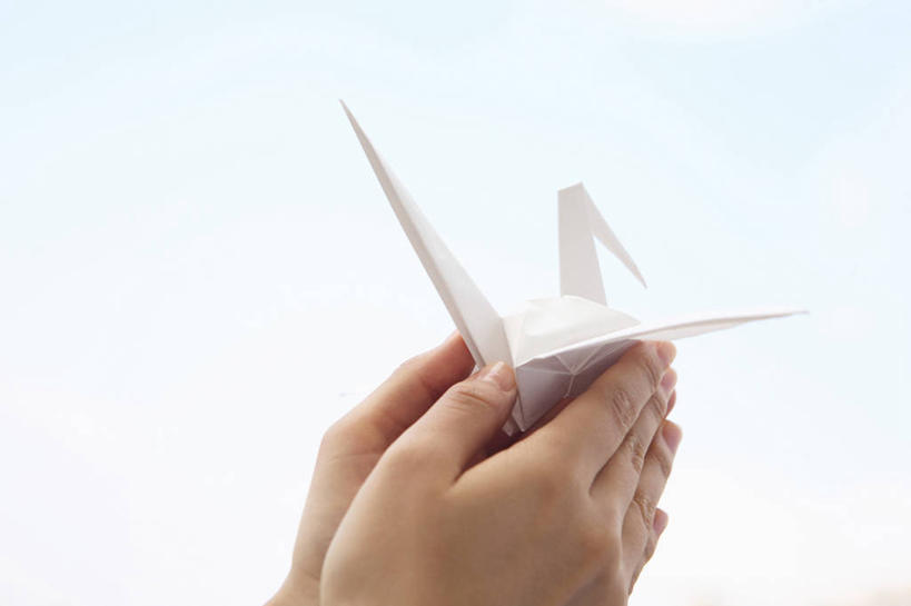 东方人,室外,亚洲,鹤,天空,自然,生活方式,环境,环境保护,万里无云,女人,亚洲人,年轻人,彩图