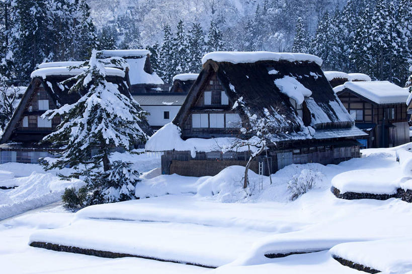 家,白天,美景,雪,建筑,亚洲,房屋,屋顶,屋子,草屋,地形,景观,乡村,冬天,顶棚,住宅,风景,自然,茅草屋,景色,建造,自然风光,彩图,房子,茅舍,茅屋,小屋