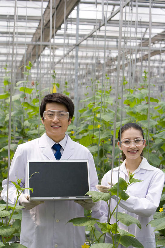 东方人,两个人,科学家,菜园,农场,笑,微笑,露齿笑,竖图,白天,正面,快乐,幸福,农业,笔记本电脑,互联网,技术,北京,中国,亚洲,敲打,种植,检查,研究,工作,分析,科学,园艺,联系,温室,拿着,输入,现代,夏天,打字,摄影,生长,护目镜,点击,敲击,肖像,防护镜,东亚,实验服,科学实验,无线电技术,植物学家,按键,计算机,男人,男性,年轻男性,年轻女性,女人,女性,亚洲人,中国人,年轻人,技术员,半身,彩图