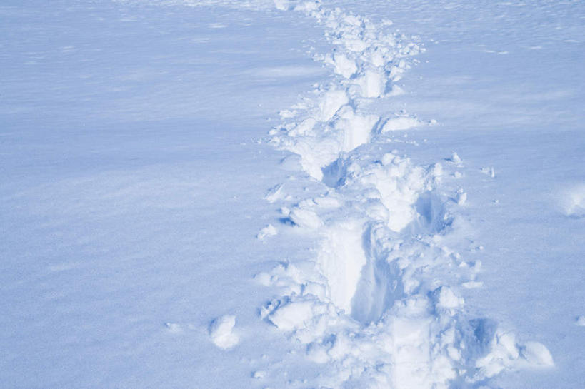 无人,横图,室外,白天,留白,雪,脚印,冬天,白色,自然,寒冷,摄影,环境,彩图