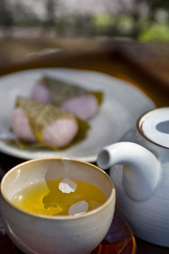 无人,竖图,俯视,室内,留白,樱花,静物,漂浮,日本文化,饮食,花,盘子,茶壶,摄影,高雅,简单,踏板,东亚文化,健康食物,纯净,茶杯,彩图,高角度拍摄