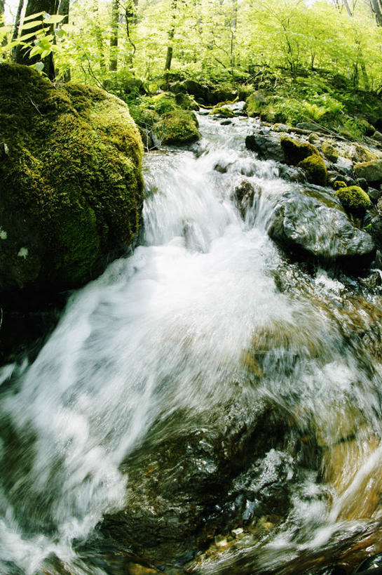 无人,竖图,室外,特写,白天,河流,美景,瀑布,水,景观,小溪,自然,景色,活力,摄影,动作,环境,自然风光,纯净,环境保护,灯心草,岩石,彩图