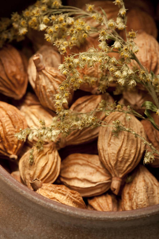 无人,竖图,特写,留白,静物,许多,香料,食品,很多,饮食,彩图,砂仁