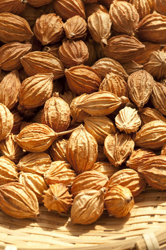 无人,竖图,特写,留白,静物,许多,香料,食品,很多,饮食,彩图,砂仁