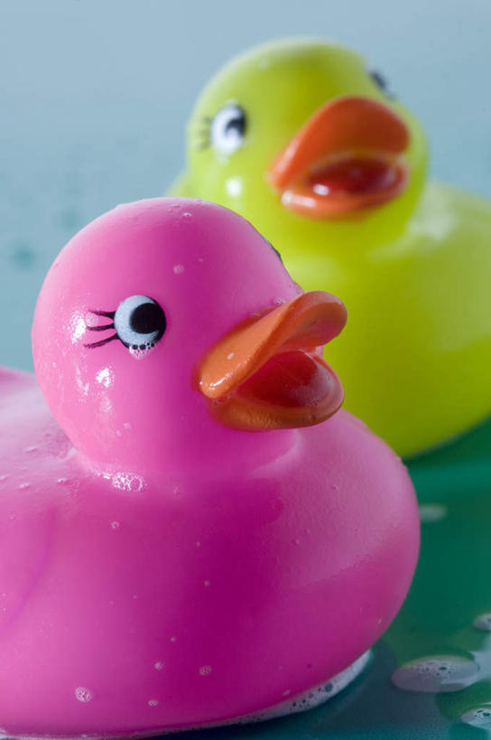 无人,竖图,俯视,室内,特写,白天,游戏,静物,玩具,阴影,反射,鸭子,影子,玩,娱乐,粉色,黄色,两只,休闲,橡胶,益智,活动,发泄,消遣,智力,橡胶制品,宣泄,橡胶小鸭,橡皮小鸭,玩耍,嬉戏,彩图,高角度拍摄