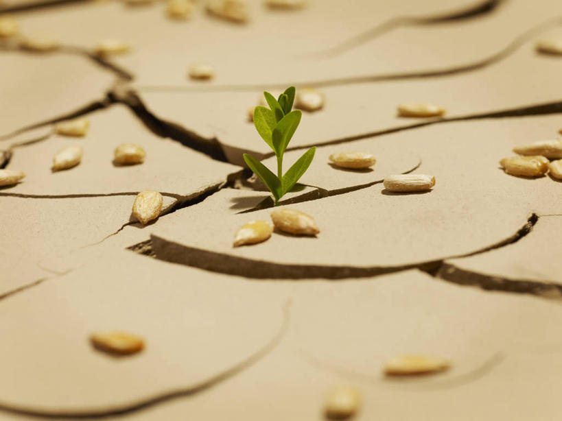 无人,横图,俯视,室外,特写,白天,美景,植物,英国,欧洲,阴影,环保,朦胧,模糊,光线,影子,景观,土地,发芽,种子,自然灾害,破坏,英格兰,破损,绿色,阳光,自然,景色,生长,能源,成长,损坏,回收,资源,干旱,西欧,灾难,自然风光,大不列颠,利用,低碳,循环,大不列颠及北爱尔兰联合王国,地盘,大不列颠联合王国,日不落英帝国,持续,劫难,磨难,灾祸,地皮,萨里,萨里郡,彩图,高角度拍摄,灾害