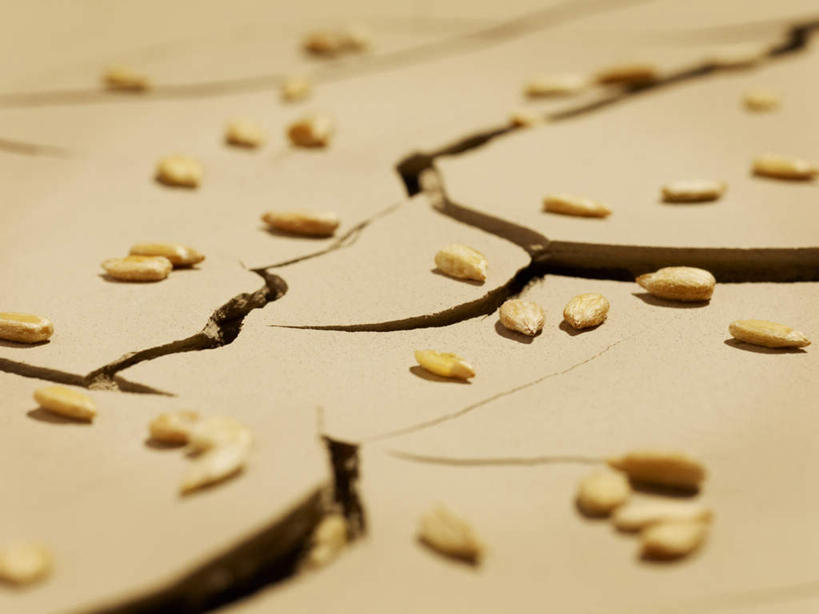 无人,横图,俯视,室外,特写,白天,旅游,度假,美景,加拿大,许多,破碎,龟裂,景观,泥土,土壤,自然灾害,凌乱,娱乐,松子,松子仁,自然,享受,休闲,景色,放松,混乱,松仁,北美,碎裂,北美洲,干旱,破裂,灾难,自然风光,美洲,分裂,北亚美利加洲,亚美利加洲,松籽仁,卑诗省,不列颠哥伦比亚,不列颠哥伦比亚省,纷乱,劫难,缭乱,磨难,庞杂,灾祸,萨里市,彩图,高角度拍摄,灾害,决裂