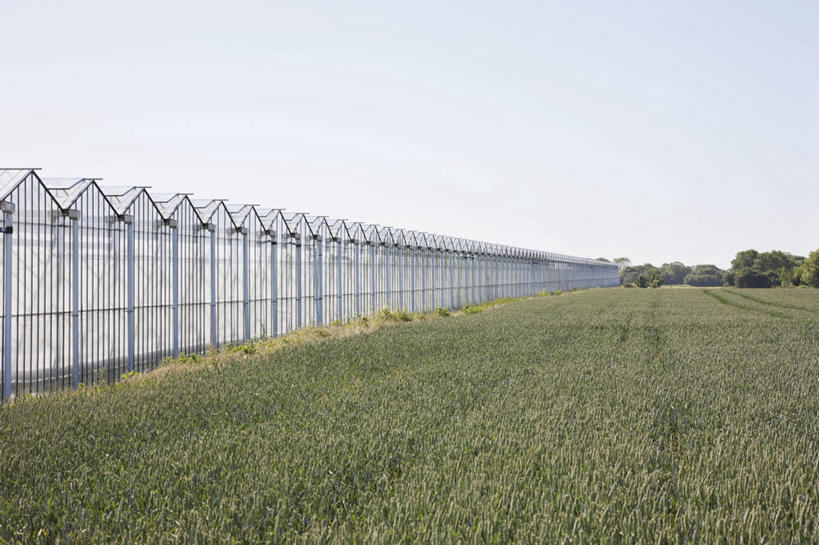 无人,农田,横图,室外,白天,正面,旅游,度假,庄稼,农作物,草地,草坪,美景,植物,英国,欧洲,阴影,光线,影子,景观,温室,娱乐,英格兰,草,树,树木,蓝色,绿色,蓝天,天空,阳光,自然,天,享受,休闲,景色,放松,设施,生长,晴朗,成长,暖房,防寒,西欧,加温,自然风光,透光,大不列颠,保温,大不列颠及北爱尔兰联合王国,万里无云,大不列颠联合王国,日不落英帝国,萨塞克斯,萨塞克斯郡,苏塞克斯,西萨塞克斯郡,奇切斯特,晴空,晴空万里,彩图,耕地,庄稼田