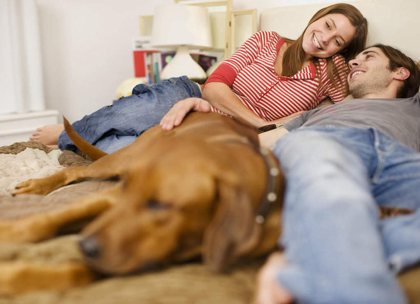 西方人,两个人,家庭,夫妻,躺,笑,微笑,露齿笑,横图,室内,白天,正面,爱情,床,卧室,宠物,狗,欧洲,欧洲人,服装,朦胧,模糊,墙,双人床,床单,浪漫,扭头,注视,休闲装,光脚,金毛犬,被子,墙壁,墙面,衣服,白色,动物,观察,看,转头,休闲,温暖,温馨,一家人,赤脚,休闲服,恩爱,可爱,恋人,服饰,金毛,观看,和睦,察看,金毛猎犬,被单,关注,寻回犬,金毛寻回犬,忠诚,金毛狗,金毛寻回狗,寻回狗,卧着,男人,男性,年轻男性,年轻女性,女人,女性,白种人,年轻人,夫妇,情侣,犬,躺着,卧,半身,彩图,睡房,卧房,伴侣,融洽