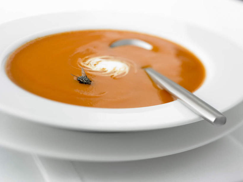 无人,横图,俯视,室内,特写,白天,白色背景,烹饪,西餐,餐桌,桌子,餐具,阴影,朦胧,模糊,反射,昆虫,碟子,盘,影子,勺子,陶瓷,汤,料理,食品,陶瓷制品,菜肴,美食,食物,一只,白色,动物,盘子,容器,调羹,碟,汤匙,碗,西式,摄影,佳肴,影棚,餐台,储藏,储存,益虫,彩图,高角度拍摄,全身,影棚拍摄,拍摄,贮存