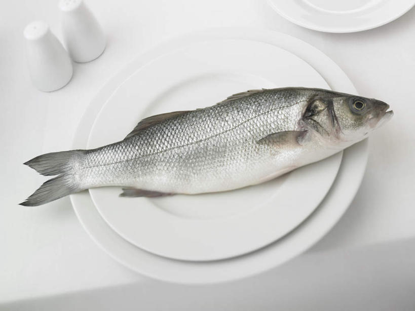 海鲜,无人,横图,俯视,室内,特写,白天,白色背景,餐桌,桌子,餐具,一条,阴影,反射,鱼,碟子,盘,影子,水产,鱼类,海洋生物,两个,白色,盘子,碟,摄影,影棚,餐台,水生动物,海产品,水生物,海底动物,彩图,高角度拍摄,全身,影棚拍摄,拍摄