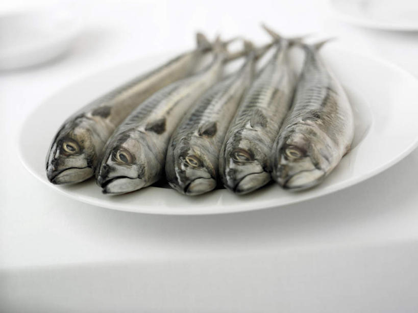 海鲜,无人,横图,俯视,室内,特写,白天,白色背景,餐桌,桌子,餐具,一排,许多,阴影,朦胧,模糊,整齐,反射,鱼,碟子,盘,影子,水产,鱼类,海洋生物,排列,白色,盘子,碟,摄影,影棚,五条,餐台,队列,水生动物,海产品,水生物,海底动物,彩图,高角度拍摄,全身,影棚拍摄,拍摄