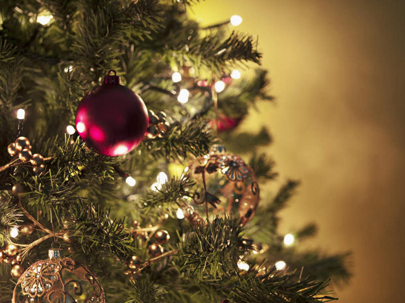 无人,横图,室内,特写,白天,正面,植物,静物,照明,圣诞节,吊挂,悬挂,阴影,节日,朦胧,模糊,庆祝,装饰,光线,彩灯,挂饰,影子,灯光,圣诞树,圣诞球,挂,文化,灯,球,树,树木,绿色,自然,灯具,庆典,球体,摄影,花灯,影棚,生长,成长,纪念,华丽,修饰,照亮,点缀,照明设备,衬托,美观,雅致,雅观,彩图,影棚拍摄,拍摄