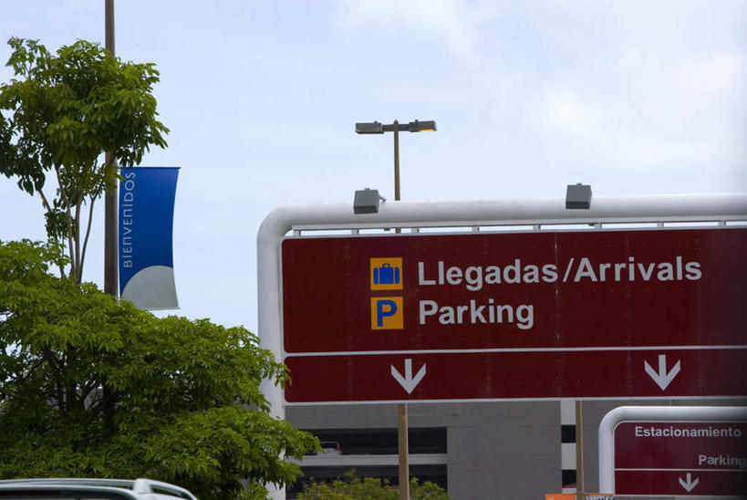 无人,横图,室外,特写,白天,仰视,植物,指示牌,汽车,阴影,光线,英文,标志,路标,文字,影子,字符,字母,云,云朵,云彩,方向,标识,箭头,车,树,树木,蓝色,绿色,白云,蓝天,天空,阳光,自然,交通工具,轿车,天,生长,晴朗,成长,英文字母,指向,载具,簇,杆子,晴空,彩图,低角度拍摄