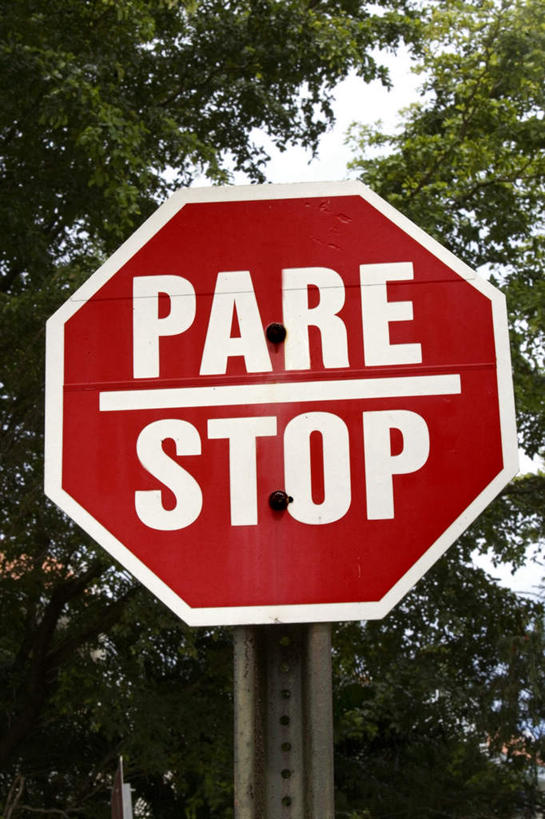 无人,竖图,室外,特写,白天,仰视,植物,指示牌,阴影,光线,英文,标志,路标,文字,线条,影子,直线,字符,字母,警告,标识,树,树木,红色,蓝色,绿色,白色,蓝天,天空,阳光,自然,天,警示,生长,成长,英文字母,禁止,停止,提醒,提示,限制,暂停,停滞,危险,彩图,低角度拍摄