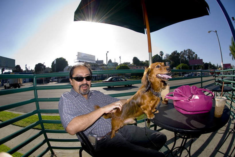 西方人,一个人,栏杆,坐,抱,笑,微笑,横图,俯视,室外,白天,草地,草坪,植物,餐桌,桌子,道路,路,路灯,指示牌,公路,汽车,宠物,狗,杯子,照明,欧洲,欧洲人,仅一个男性,仅一个人,一副,包,标志,墨镜,皮包,伞,文字,眼镜,雨伞,遮阳伞,塑料,围栏,灯光,交通,扭头,注视,标识,阳伞,护栏,车,灯,草,饮料,蓝色,绿色,蓝天,天空,动物,塑料制品,太阳镜,太阳眼镜,吸管,交通工具,轿车,天,观察,看,转头,仅一个老年男性,遮阳镜,可爱,餐台,抱着,观看,塑料杯,单肩包,照亮,察看,空心,搂着,照明设备,关注,载具,忠诚,饮管,老年男性,男人,男性,白种人,马路,犬,怀抱,搂,搂抱,相抱,拥抱,坐着,半身,彩图,高角度拍摄,圆柱状