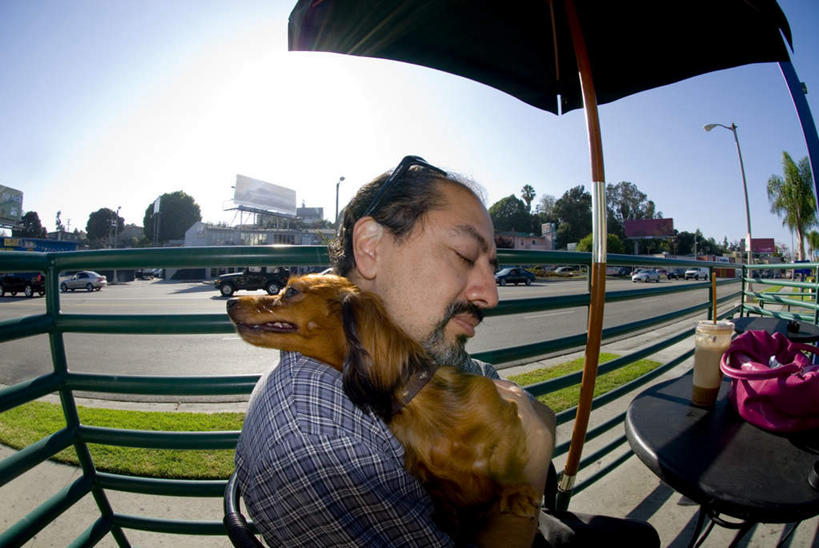 西方人,一个人,栏杆,坐,抱,笑,微笑,横图,俯视,室外,白天,草地,草坪,植物,餐桌,桌子,道路,路,路灯,指示牌,公路,汽车,宠物,狗,杯子,照明,欧洲,欧洲人,仅一个男性,仅一个人,一副,包,标志,墨镜,皮包,伞,文字,眼镜,雨伞,遮阳伞,塑料,围栏,灯光,交通,扭头,注视,标识,阳伞,护栏,车,灯,草,饮料,蓝色,绿色,蓝天,天空,动物,塑料制品,太阳镜,太阳眼镜,吸管,交通工具,轿车,天,观察,看,转头,仅一个老年男性,遮阳镜,可爱,餐台,抱着,观看,塑料杯,单肩包,照亮,察看,空心,搂着,照明设备,关注,载具,忠诚,饮管,老年男性,男人,男性,白种人,马路,犬,怀抱,搂,搂抱,相抱,拥抱,坐着,半身,彩图,高角度拍摄,圆柱状