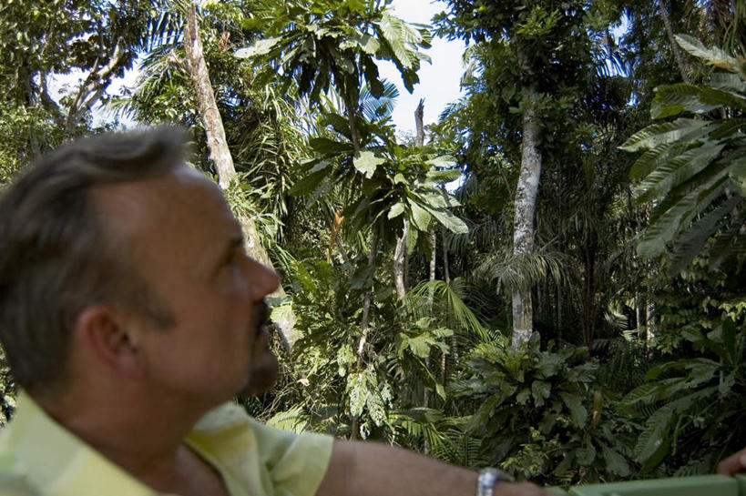 西方人,一个人,站,横图,室外,白天,仰视,植物,欧洲,欧洲人,仅一个男性,仅一个人,阴影,时间,光线,时钟,手表,影子,计时,注视,树,树木,蓝色,绿色,蓝天,天空,阳光,自然,钟表,天,观察,看,站着,仅一个老年男性,表,生长,成长,观看,腕表,察看,关注,老年男性,男人,男性,白种人,钟,抬头,仰头,站立,半身,彩图,低角度拍摄