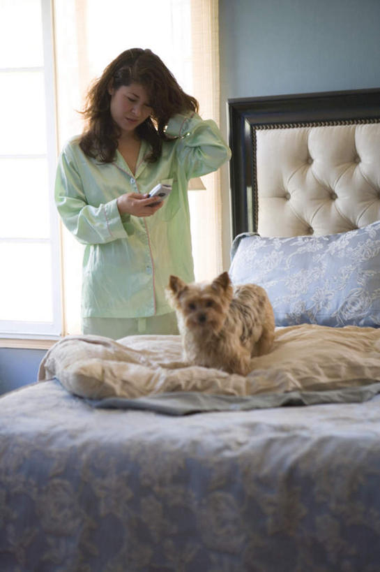 西方人,一个人,站,打电话,竖图,室内,白天,正面,窗户,窗帘,床,地板,卧室,宠物,狗,电话,手机,欧洲,欧洲人,仅一个年轻女性,仅一个女性,仅一个人,握,阴影,睡衣,光线,影子,墙,双人床,床单,地面,拿,拿着,通讯设备,被子,木地板,玻璃窗,墙壁,墙面,绿色,阳光,动物,站着,可爱,握着,被单,忠诚,寝衣,交流,年轻女性,女人,女性,白种人,犬,沟通,通话,站立,半身,彩图,睡房,卧房